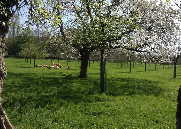 D'hotes Le Nid Du Phare Avec Option Jacuzzi Prive
