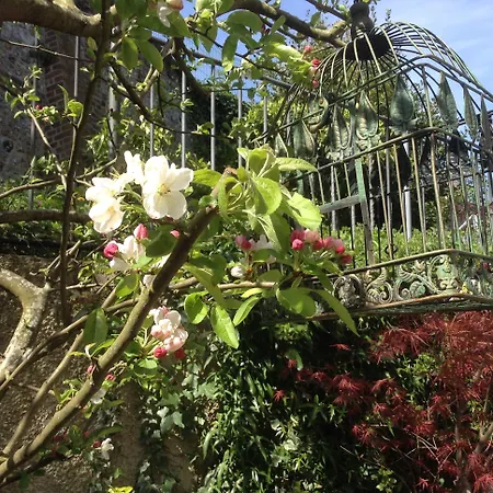 D'hotes Le Nid Du Phare Avec Jacuzzi Prive 住宿加早餐酒店 4*