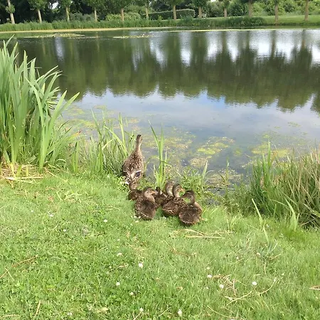 住宿加早餐酒店 D'hotes Le Nid Du Phare Avec Jacuzzi Prive