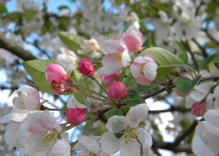 D'hotes Le Nid Du Phare Avec Option Jacuzzi Prive 4*