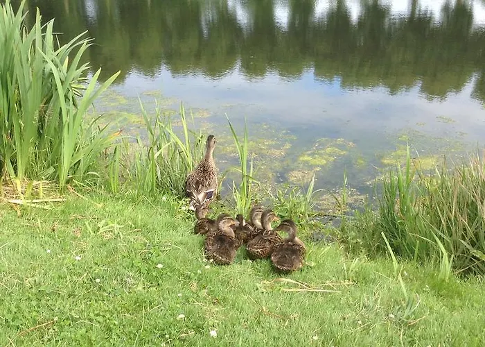 Bed & Breakfast D'hotes Le Nid Du Phare Avec Option Jacuzzi Prive
